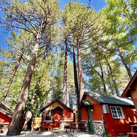 The Village Cabins Big Bear Lake Εξωτερικό φωτογραφία